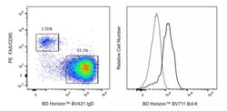 Bcl-6 Mouse anti-Human, Mouse, BV 711, Clone: K112-91, BD Horizon 50 Tests;