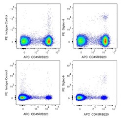 Siglec-H Rat anti-Mouse, PE, Clone: 551, BD Pharmingen 50 &mu;g | Buy Online | BD Biosciences | Fisher Scientific