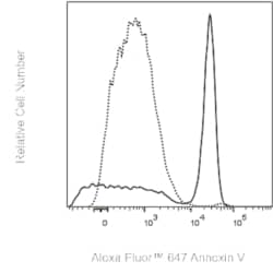 Annexin V Human anti-Human, Unconjugated, Clone: Annexin V, BD Phrmingen