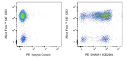 DNAM-1 (CD226) Mouse anti-Human, PE, Clone: 11A8, BD Pharmingen 100 Tests;