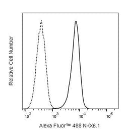 Nkx6.1 Mouse anti-Mouse, Human, Alexa Fluor 488, Clone: R11-560, BD Pharmingen