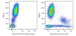 HLA-DR Mouse anti-Human, Alexa Fluor 647, Clone: L203.rMAb (also known