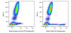 CD20 Mouse anti-Human, Biotin, Clone: 2H7, BD Pharmingen 0.1 mg | Buy Online | BD Biosciences | Fisher Scientific