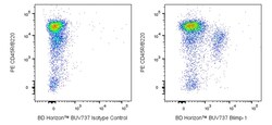 Blimp-1 Rat anti-Mouse, BUV 737, Clone: 50000000, BD Horizon 50 &mu;g | Buy Online | BD Biosciences | Fisher Scientific