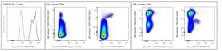 CD133 Mouse anti-Human, Alexa Fluor 488, Clone: 293C3, BD Pharmingen 0.1