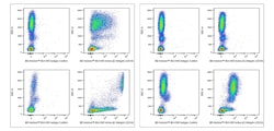 Active 2 Integrin (CD18) Mouse anti-Human, BUV 395, Clone: mAb 24 (also