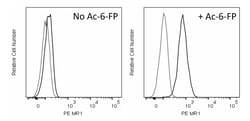 MR1 Mouse anti-Human, Mouse, PE, Clone: 8F2.F9, BD Pharmingen:Antibodies:Primary