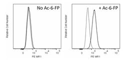 MR1 Mouse anti-Human, Mouse, PE, Clone: 8F2.F9, BD Pharmingen:Antibodies:Primary