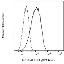 BAFF (BLyS/CD257) Mouse anti-Human, APC, Clone: H32-411, BD Pharmingen