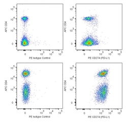 CD274 (PD-L1) Rat anti-Mouse, PE, Clone: 10F.9G2 (also known as 10F.9G2),