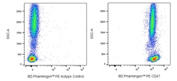 CD47 Mouse anti-Human, PE, Clone: CC2C6, BD Pharmingen 100 Tests; PE:Antibodies,