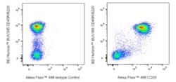 CD20 Rat anti-Mouse, Alexa Fluor 488, Clone: GOT214A, BD Phrmingen:Antibodies:Primary