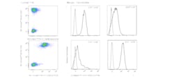 BV711 Armenian Hamster Anti-ICOS (CD278), BD Horizon 0.1 mg, BV711:Antibodies,