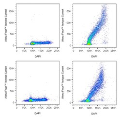 Cyclin A Mouse anti-Human, Mouse, Alexa Fluor 647, Clone: E23.1, BD Pharmingen 0.1 mg | Buy Online | BD Biosciences | Fisher Scientific