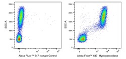 Myeloperoxidase Mouse anti-Human, Alexa Fluor 647, Clone: 1B10, BD Pharmingen:Antibodies:Primary