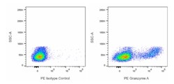PE Mouse Anti-Human Granzyme A, BD Pharmingen 100 Tests, PE:Antibodies,