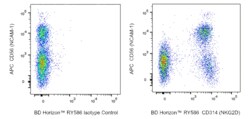 CD314 (NKG2D) Mouse anti-Human, RY586, Clone: 1D11, BD Horizon 25 Tests;