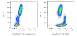CD29 Mouse anti-Human, Alexa Fluor 488, Clone: TS2/16, BD Phrmingen 25