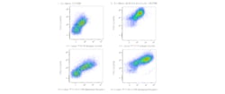 CD206 (Mannose Receptor) Rat anti-Mouse, R718, Clone: Y17-505, BD Horizon
