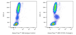 CD105 (Endoglin) Mouse anti-Human, Alexa Fluor 488, Clone: SN6h (also known