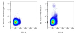 CD34 Mouse anti-Human, RB780, Clone: 581, BD Horizon:Antibodies:Primary