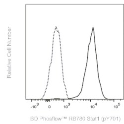 Stat1 (pY701) Mouse anti-Human, Mouse, Rat, RB780, Clone: 4a, BD Phosflow 100 Tests | Buy Online | BD Biosciences | Fisher Scientific
