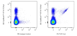 TCR V 4 Mouse anti-Mouse, PE, Clone: 49.2 (also known as 49.2-9), BD Phrmingen:Antibodies:Primary
