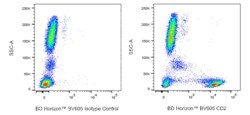 CD2 Mouse anti-Human, BV605, Clone: RPA-2.10, BD Horizon 50 &mu;g; BV605:Antibodies,