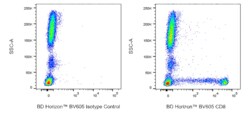 CD8 Mouse anti-Human, BV605, Clone: HIT8a, BD Horizon 50 &mu;g; BV605:Antibodies,