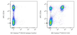 CD4 Rat anti-Mouse, BV510, Clone: GK1.5, BD Horizon 50 &mu;g; BV510:Antibodies,