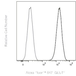 GLUT1 Rabbit anti-Human, Alexa Fluor 647, Clone: EPR3915, BD Phrmingen