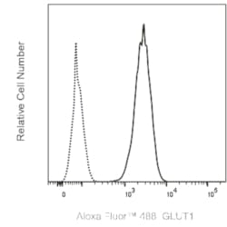 GLUT1 Rabbit anti-Human, Alexa Fluor 488, Clone: EPR3915, BD Phrmingen 50 &mu;g | Buy Online | BD Biosciences | Fisher Scientific