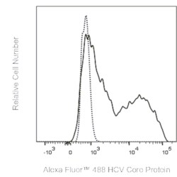 HCV Core Protein Mouse anti-Virus, Alexa Fluor 488, Clone: C7-50, BD Phrmingen:Antibodies:Primary