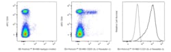 CD25 (IL-2 Receptor ) Rat anti-Mouse, BV480, Clone: 3C7, BD Horizon 0.1