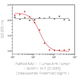 HER2 Trastuzumab Biosimilar anti-Human, Unconjugated, Clone: Trastuzumab.rMAb