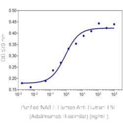 TNF Adalimumab Biosimilar anti-Human, Unconjugated, Clone: Adalimumab.rMAb