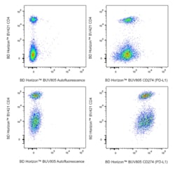 BUV805 Rat Anti-Mouse CD274 (PD-L1), BD Horizon:Antibodies:Primary Antibodies
