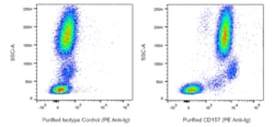 CD157 Mouse anti-Human, Unconjugated, Clone: SY/11B5, BD Phrmingen 0.1