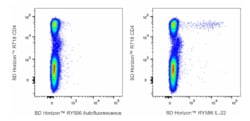 RY586 Mouse Anti-Human IL-22, BD Horizon:Antibodies:Primary Antibodies