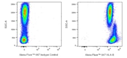 HLA-B Rat anti-Human, Alexa Fluor 647, Clone: YTH 76.3.rMAb (also known
