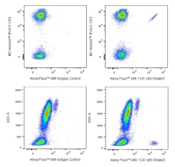 TCR V 5 Related Mouse anti-Human, Alexa Fluor 488, Clone: MEM-262, BD Phrmingen:Antibodies:Primary