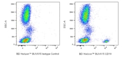 CD19 Mouse anti-Human, Rhesus, BUV615, Clone: HIB19, BD Horizon 50 &mu;g;
