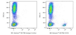 CD19 Mouse anti-Human, Rhesus, BV786, Clone: HIB19, BD Horizon 50 &mu;g;