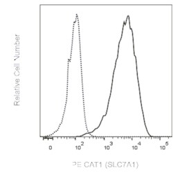 CAT1 (SLC7A1) Rat anti-Human, PE, Clone: CA2, BD Phrmingen 0.1 mg; PE:Antibodies,