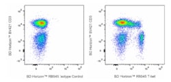 RB545 Mouse Anti-T-bet, BD Horizon:Antibodies:Primary Antibodies