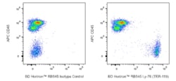 RB545 Rat Anti-Mouse Ly-76 (TER-119), BD Horizon 25 &mu;g, RB545:Antibodies,