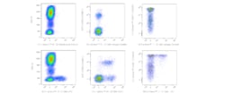 TIGIT Mouse anti-Human, PE-CF594, Clone: TgMab-2, BD Horizon 100 Tests;