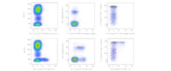TIGIT Mouse anti-Human, RB780, Clone: TgMab-2, BD Horizon 25 Tests; RB780:Antibodies,