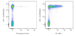 MD-1 Rat anti-Mouse, PE, Clone: MD113 (also known as MD-113), BD Phrmingen:Antibodies:Primary