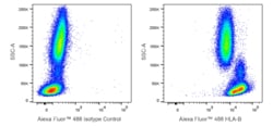 Alexa Fluor 488 Rat Anti-Human HLA-B, BD Pharmingen 25 Tests, Alexa Fluor&trade;